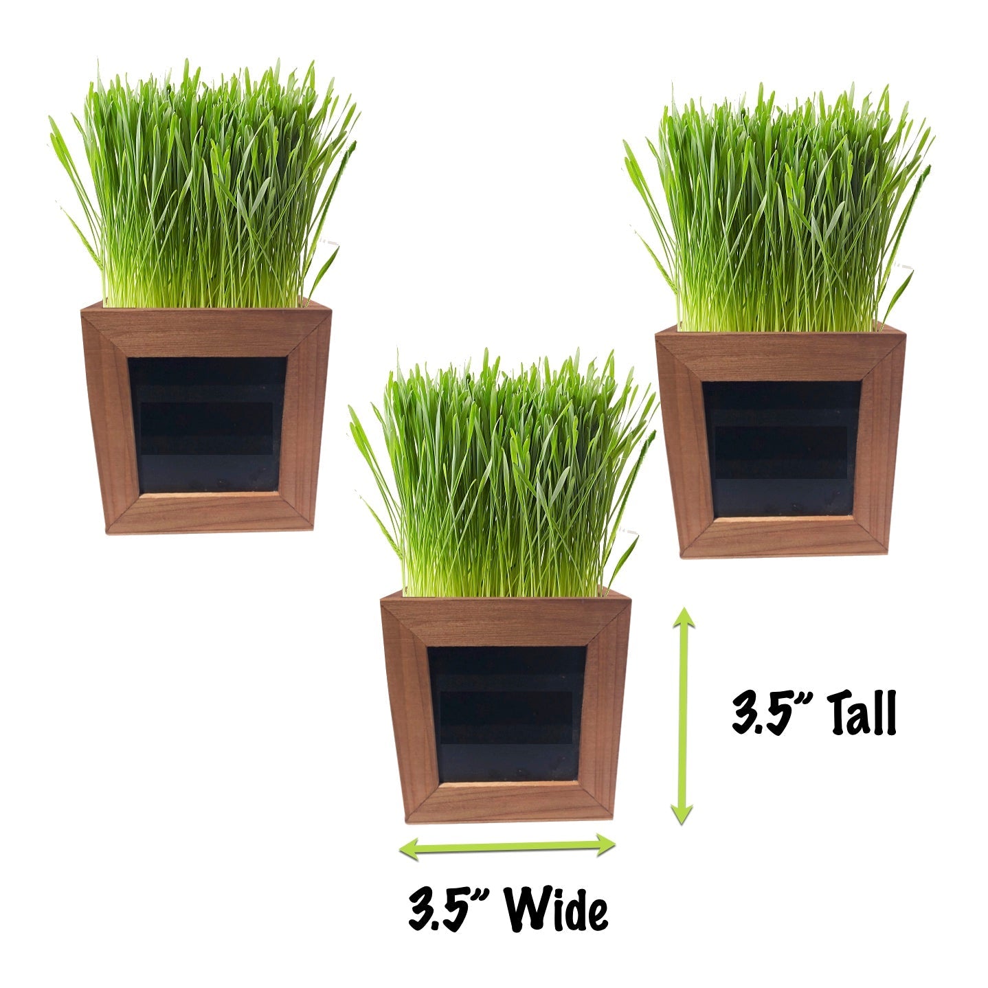 Cat Grass Growing Kit with 3 Mini Wooden Planters, Certified Organic Seeds and Soil.