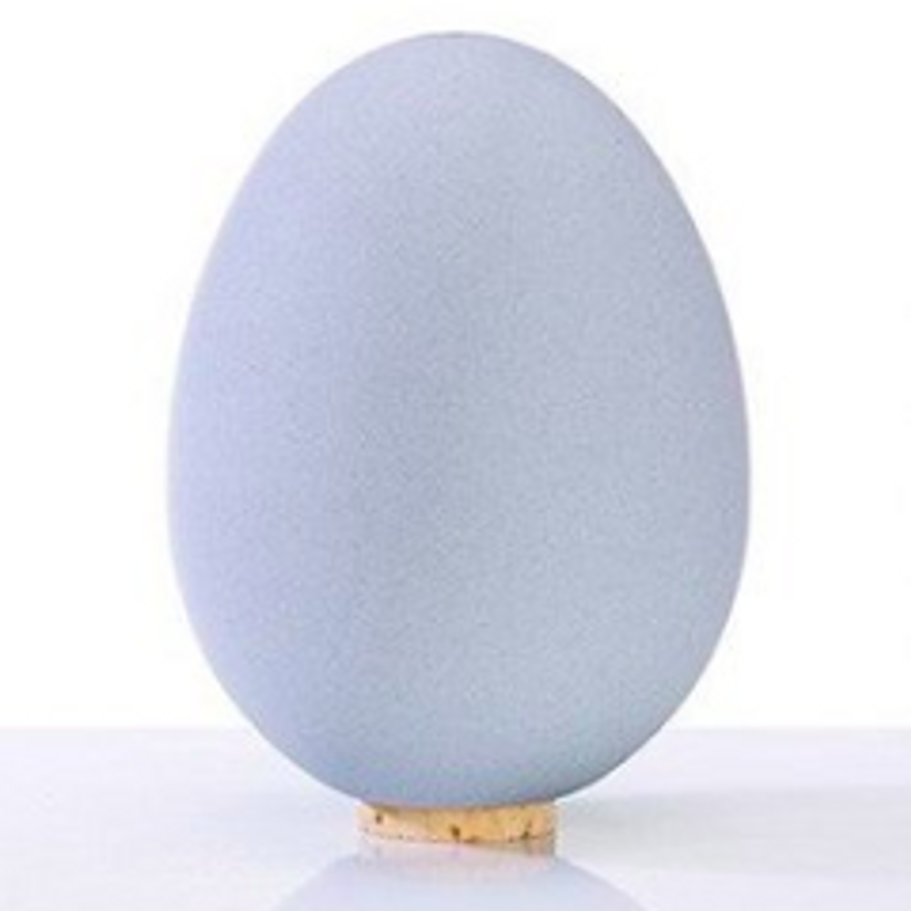 The EI Egg Saltshaker